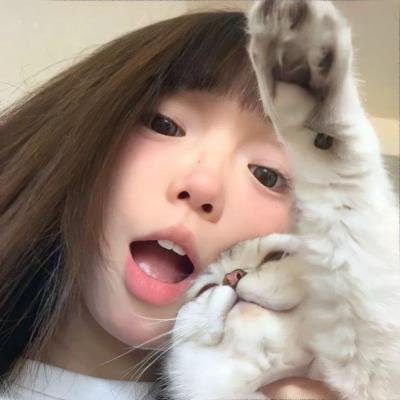 条子阿不拉