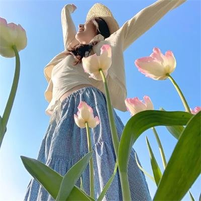 新西游记第六季